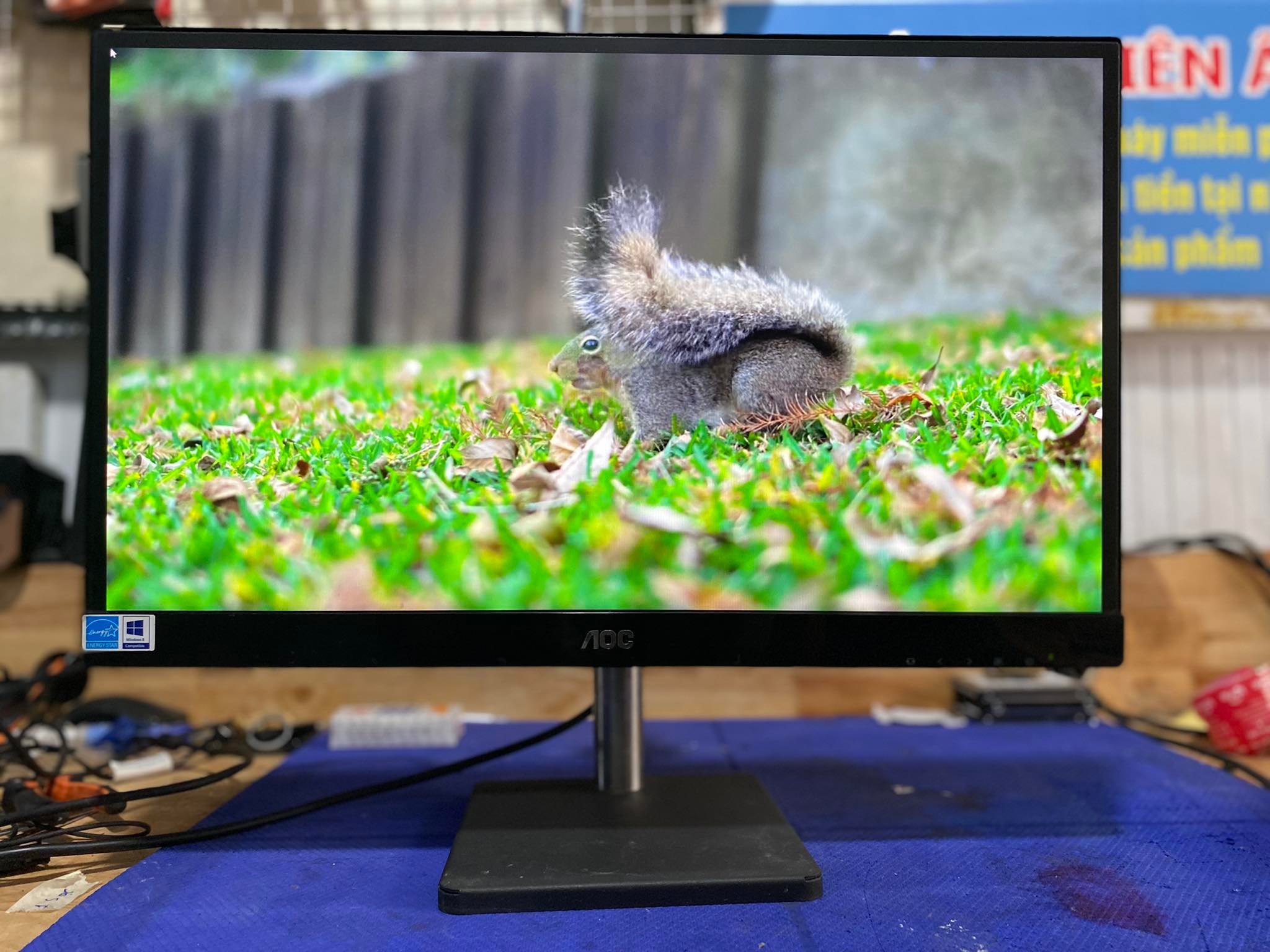 Màn hình chuyên đồ họa HP ZR2440W FullHD IPS