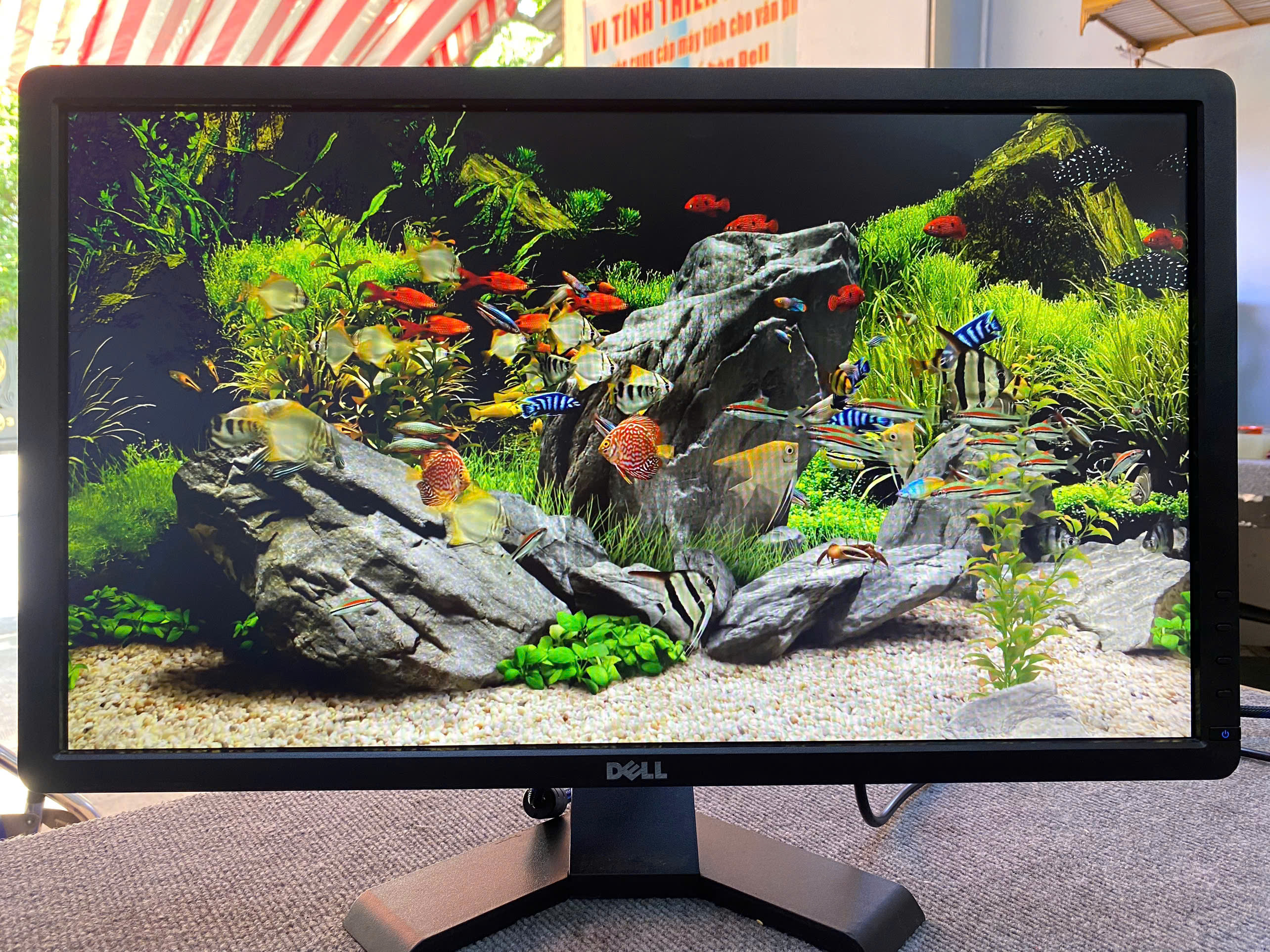 Màn hình HP E242 24 inch LED IPS